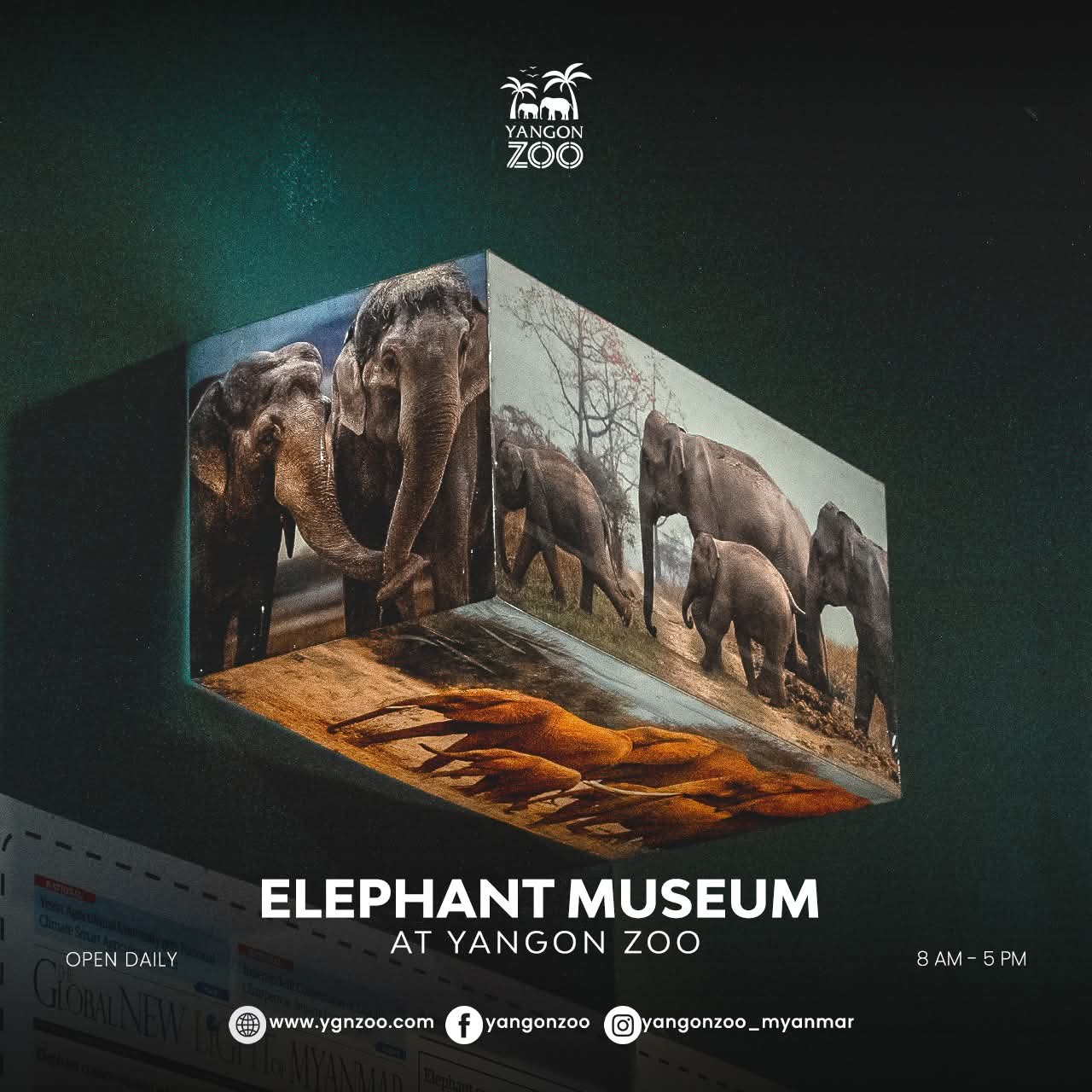 Elephant Museum