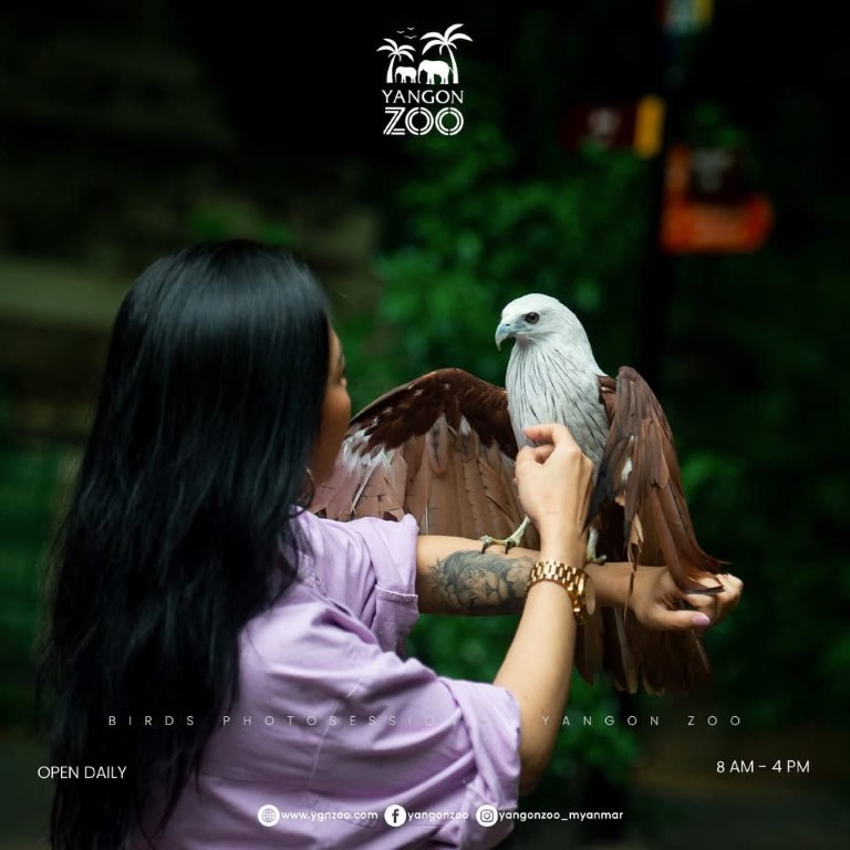 Taking Photos with Birds