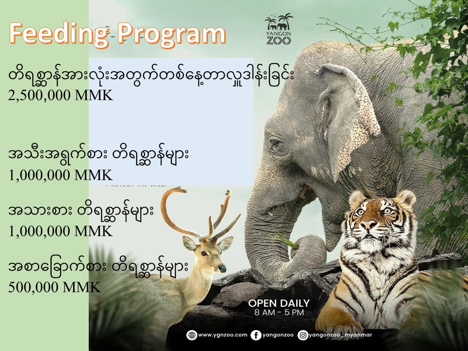 Animal Feeding and Donation Program